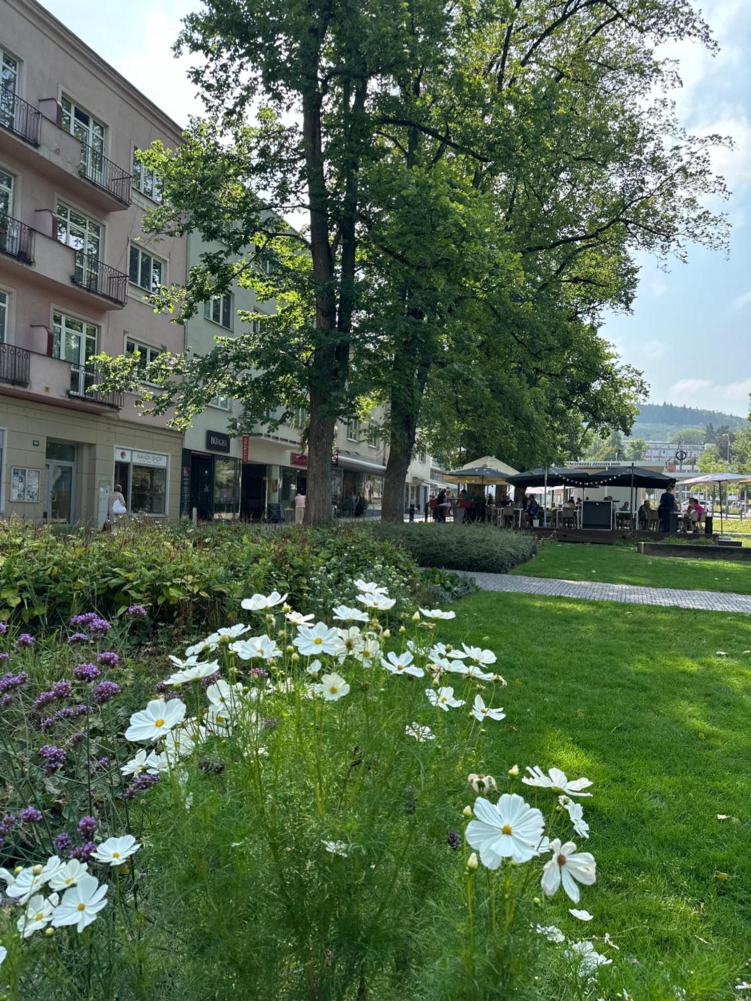 Rezidence Sadova Zlin Apartment Exterior photo